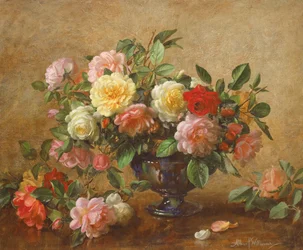 Tutta la Bellezza in una Rosa Estiva